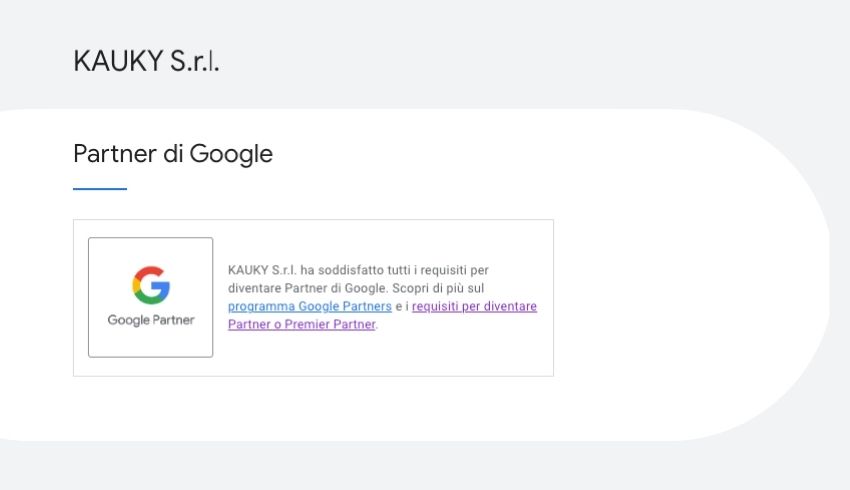 Google Partners 2023 - KAUKY srl