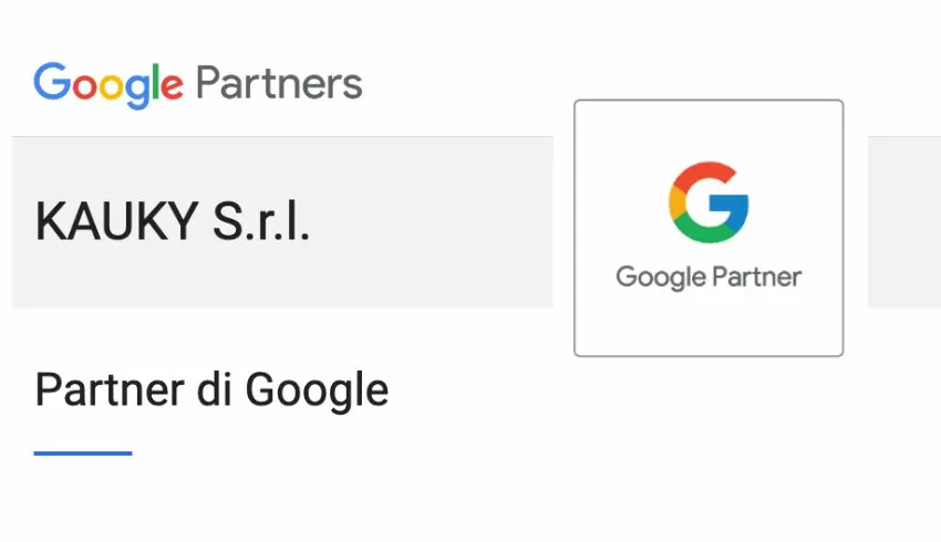 Kauky Google Partners 2025